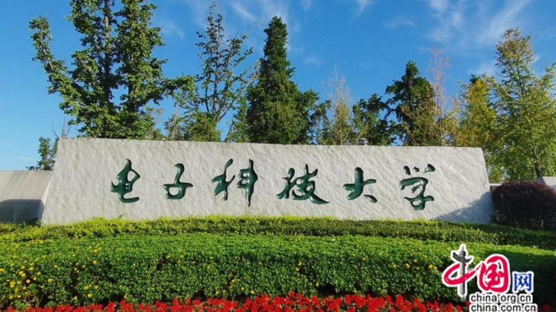 国产三极管与进口三极管：关键差异解析**